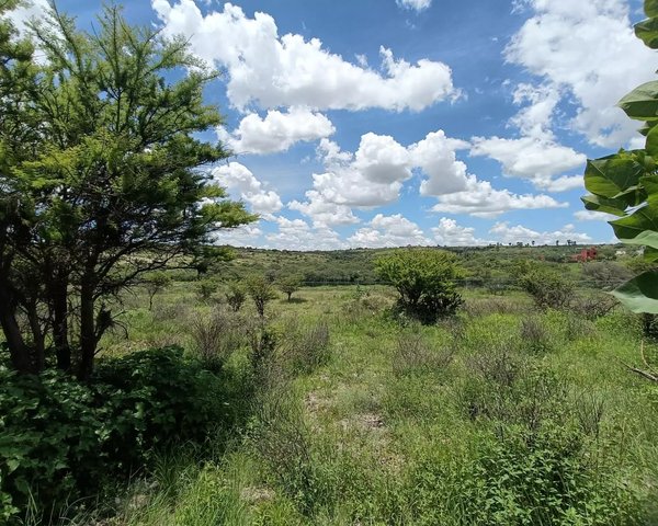 Lote Angeles – San Miguel de Allende real estate