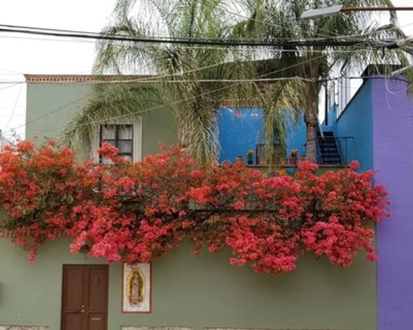 Casa San Rafael – San Miguel de Allende real estate