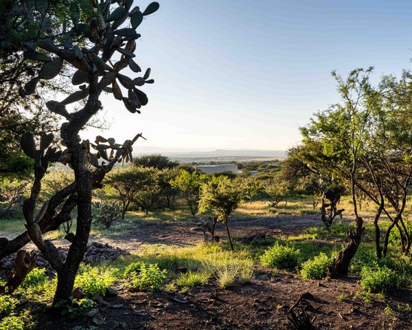 La Reserva – San Miguel de Allende real estate