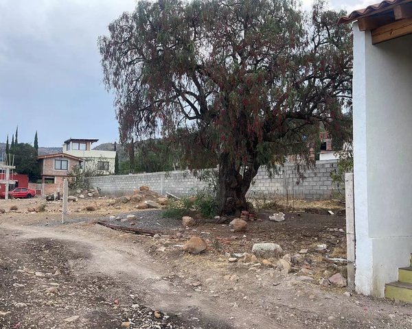 Terreno ALcocer – San Miguel de Allende real estate
