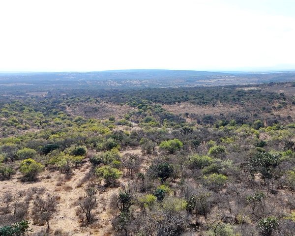 Hectáreas Ojo Zarco – San Miguel de Allende real estate