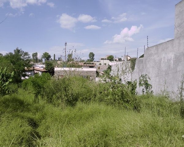 Homesite MAYORAZGO #8 – San Miguel de Allende real estate
