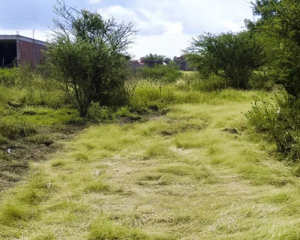 Homesite San Virgilio – San Miguel de Allende real estate