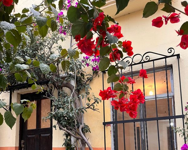 Casa Infonavit Malanquin – San Miguel de Allende real estate