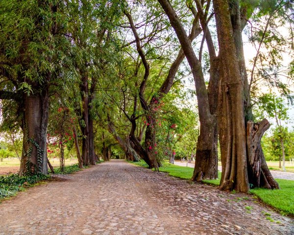 Los Remedios Tempranillo 413 – San Miguel de Allende real estate