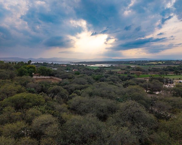Lote Pedro Paramo 26 – San Miguel de Allende real estate