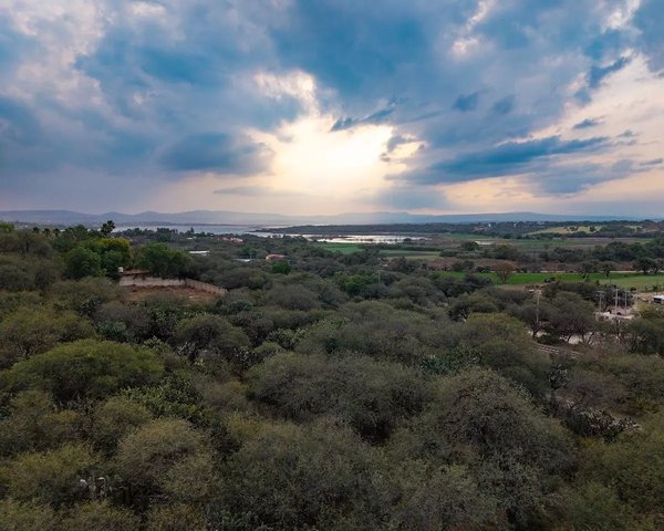 Lote Pedro Paramo 26 – San Miguel de Allende real estate