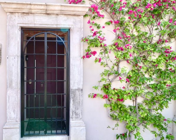 Casa de los Leones – San Miguel de Allende real estate
