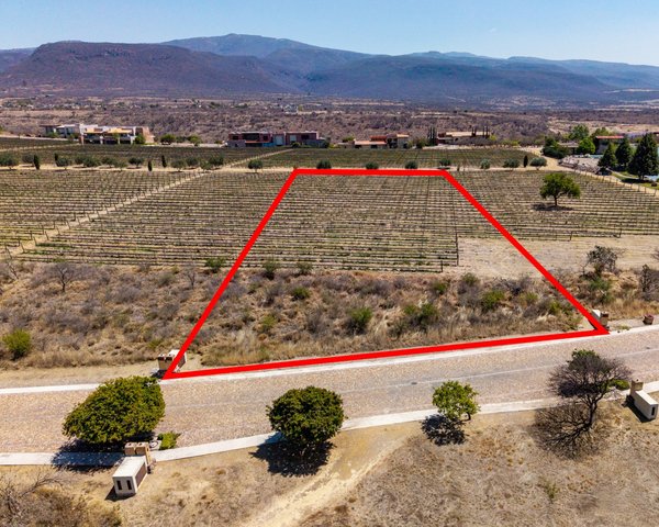 Lote Viñedo San Miguel – San Miguel de Allende real estate