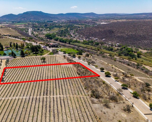 Lote Viñedo San Miguel – San Miguel de Allende real estate