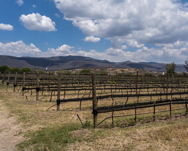 Los Remedios Lot 9 – San Miguel de Allende real estate
