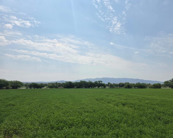 Ranchito Miguel Lot 1 – San Miguel de Allende real estate