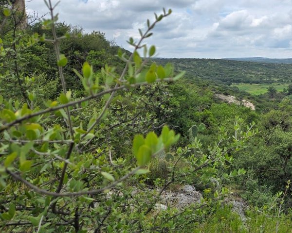 LOT ATOTONILCO – San Miguel de Allende real estate