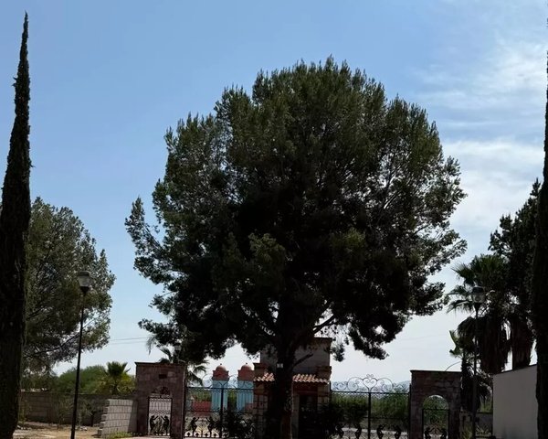 Terreno Atotonilco el Viejo – San Miguel de Allende real estate