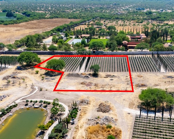 Viñedos Patria Lote 6 – San Miguel de Allende real estate