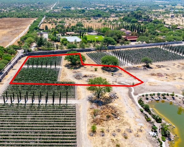 Viñedos Patria Lote 5 – San Miguel de Allende real estate