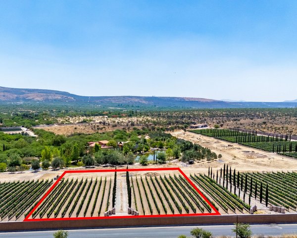 Viñedos Patria Lote 7 – San Miguel de Allende real estate