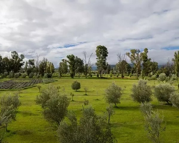 Lote Santa Lucia – San Miguel de Allende real estate