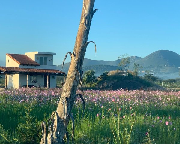 Finca Patanegra on Road to Jalpa – San Miguel de Allende real estate photo 1