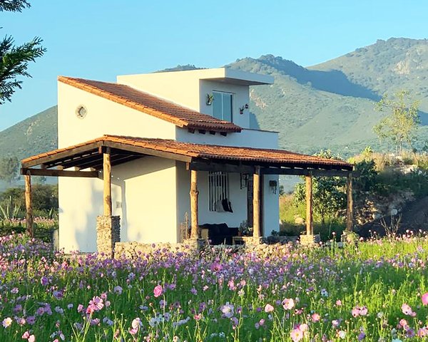Finca Patanegra on Road to Jalpa – San Miguel de Allende real estate