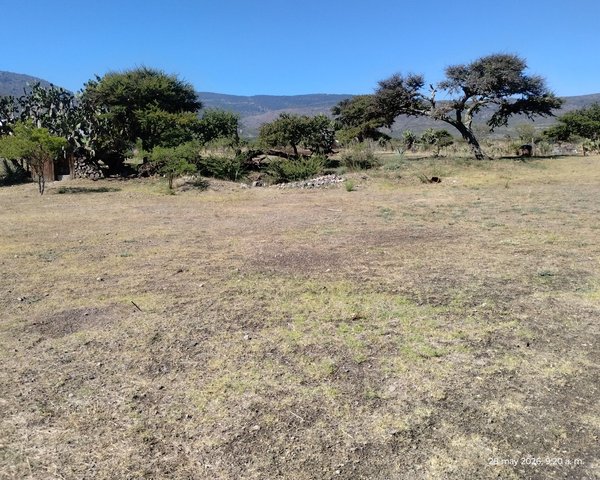 LOTE LA PURISIMA – San Miguel de Allende real estate