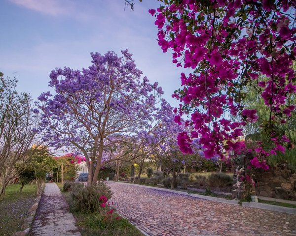 AltaVista Lot 5 – 1,163 m² | Large Luxury Homesite in San Miguel de Allende – San Miguel de Allende real estate