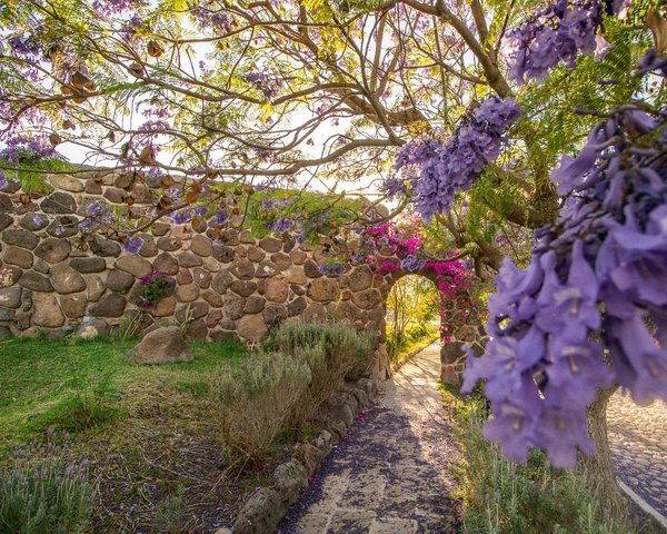 AltaVista Lot 3 – 1,043 m² | Luxury Lot Near Centro in San Miguel de Allende – San Miguel de Allende real estate