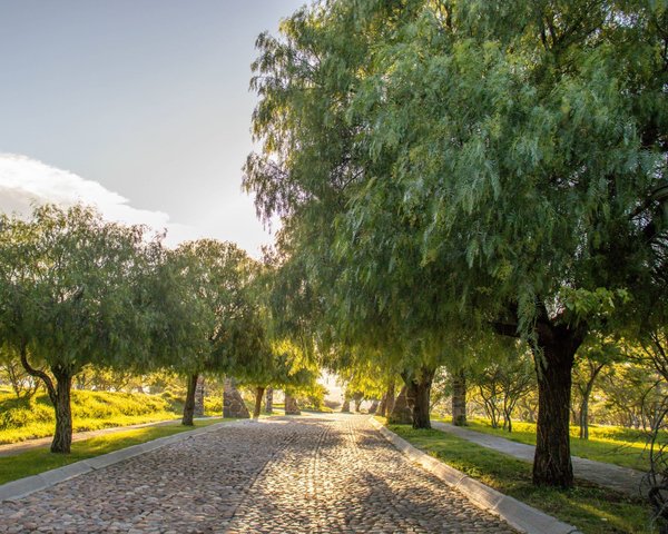 AltaVista Lot 1 – 962 m² | Boutique Eco-Community Near Centro – San Miguel de Allende real estate