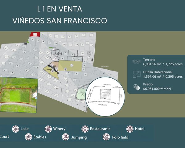 L 1  VIÑEDOS SAN FRANCISCO – San Miguel de Allende real estate