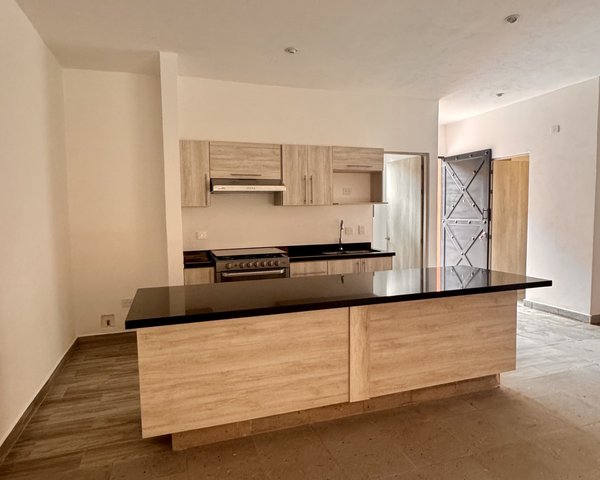 La Serena - One Level Living – San Miguel de Allende real estate