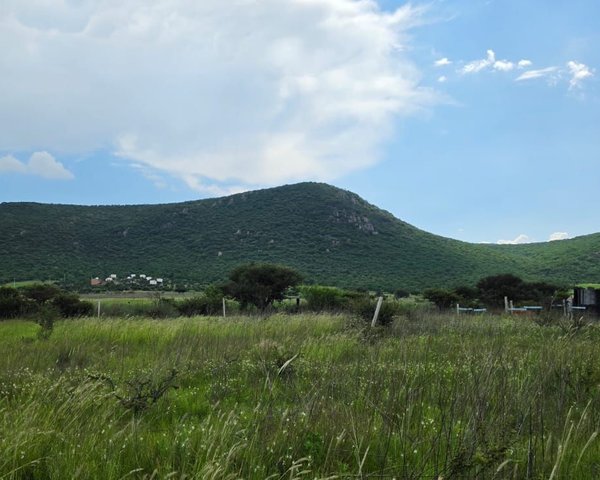 Lote Campestre Llano Blanco – San Miguel de Allende real estate