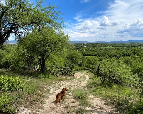 Lote La Giraldilla – San Miguel de Allende real estate