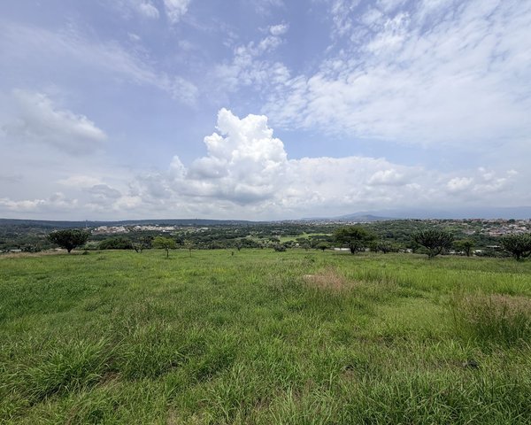 Palcos de Piamonte – San Miguel de Allende real estate
