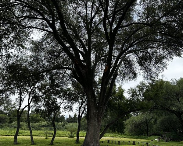 Villa Ikal – San Miguel de Allende real estate