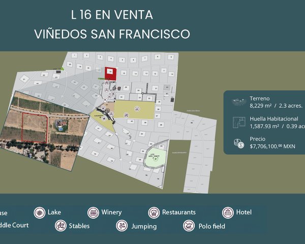L16 VIÑEDO SAN FRANCISCO – San Miguel de Allende real estate