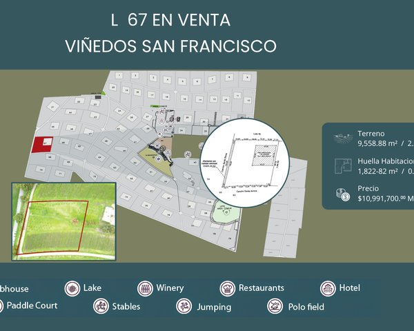 L67 VIÑEDOS SAN FRANCISCO – San Miguel de Allende real estate