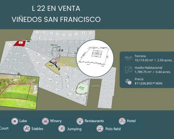 L22 VIÑEDOS SAN FRANCISCO – San Miguel de Allende real estate