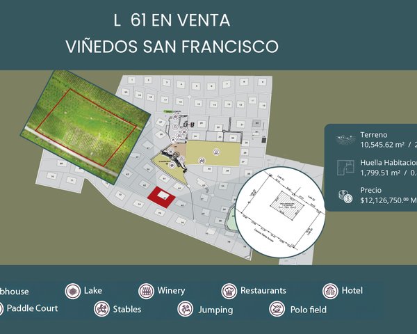 L61 VIÑEDOS SAN FRANCISCO – San Miguel de Allende real estate