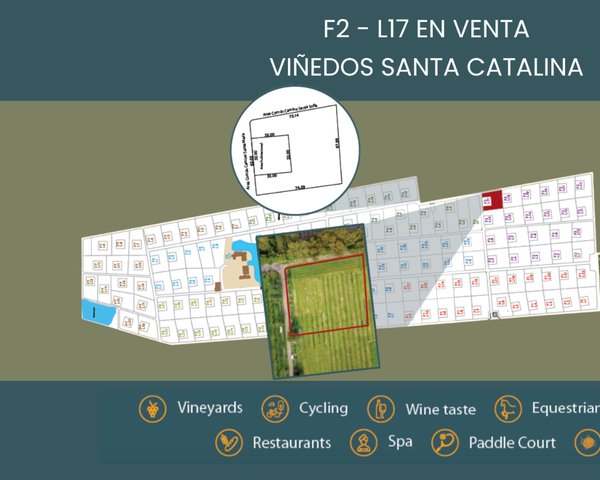 F2 - L17 VIÑEDOS SANTA CATALINA – San Miguel de Allende real estate