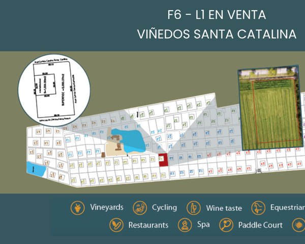 F6 - L1 VIÑEDOS SANTA CATALINA – San Miguel de Allende real estate
