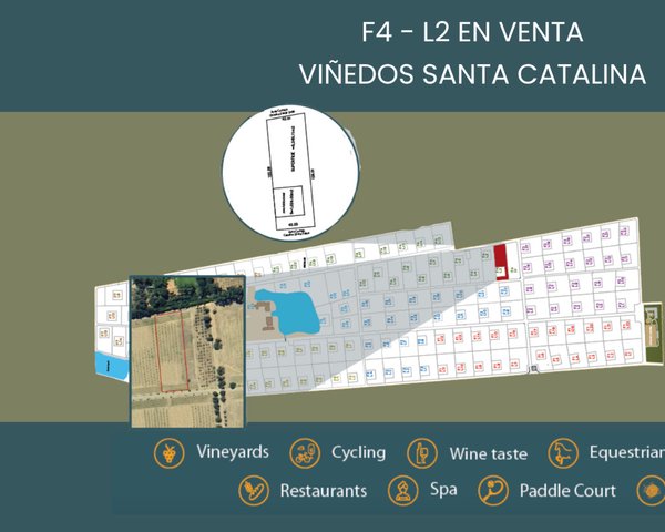 F4 - L2 VIÑEDOS SANTA CATALINA – San Miguel de Allende real estate