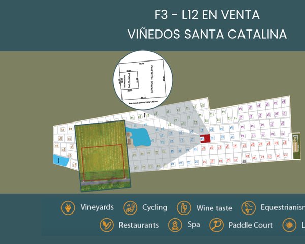 F3 - L12 VIÑEDOS SANTA CATALINA – San Miguel de Allende real estate