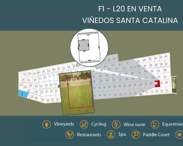 F1 - L20 VIÑEDOS SANTA CATALINA – San Miguel de Allende real estate