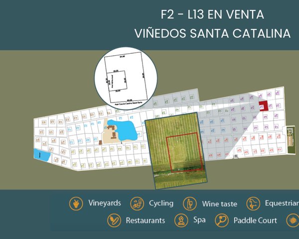 F2 - L13 VIÑEDOS SANTA CATALINA – San Miguel de Allende real estate