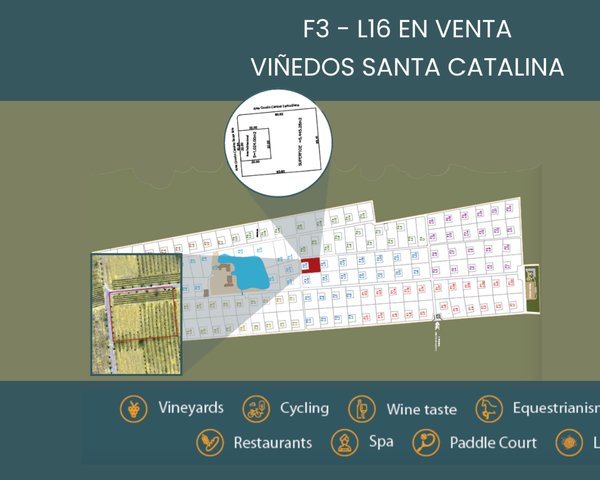 F3 -L16 VIÑEDOS SANTA CATALINA – San Miguel de Allende real estate