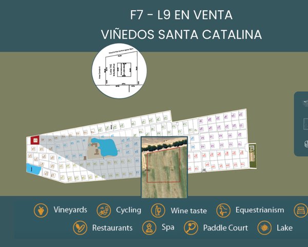 F7 - L9 VIÑEDOS SANTA CATALINA – San Miguel de Allende real estate