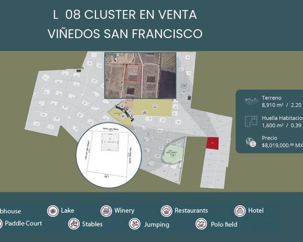 L 8  VIÑEDOS SAN FRANCISCO – San Miguel de Allende real estate