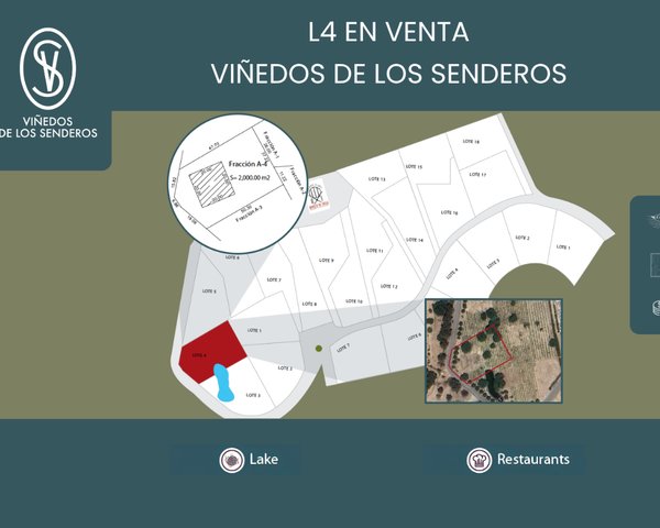 L 4 VIÑEDOS DE LOS SENDEROS – San Miguel de Allende real estate