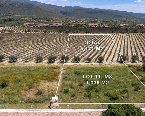 Viñedo San Miguel Lot – San Miguel de Allende real estate photo 1