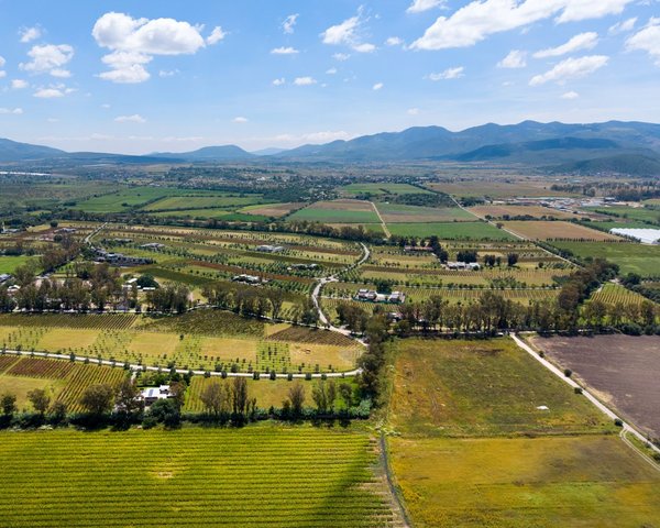 San Francisco Vineyards Lot 1 – San Miguel de Allende real estate